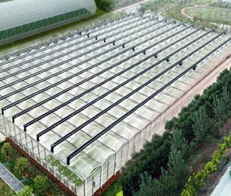 Şangay Alibaba Dijital Tarım Projesi Çelik Yapı Mühendisliği